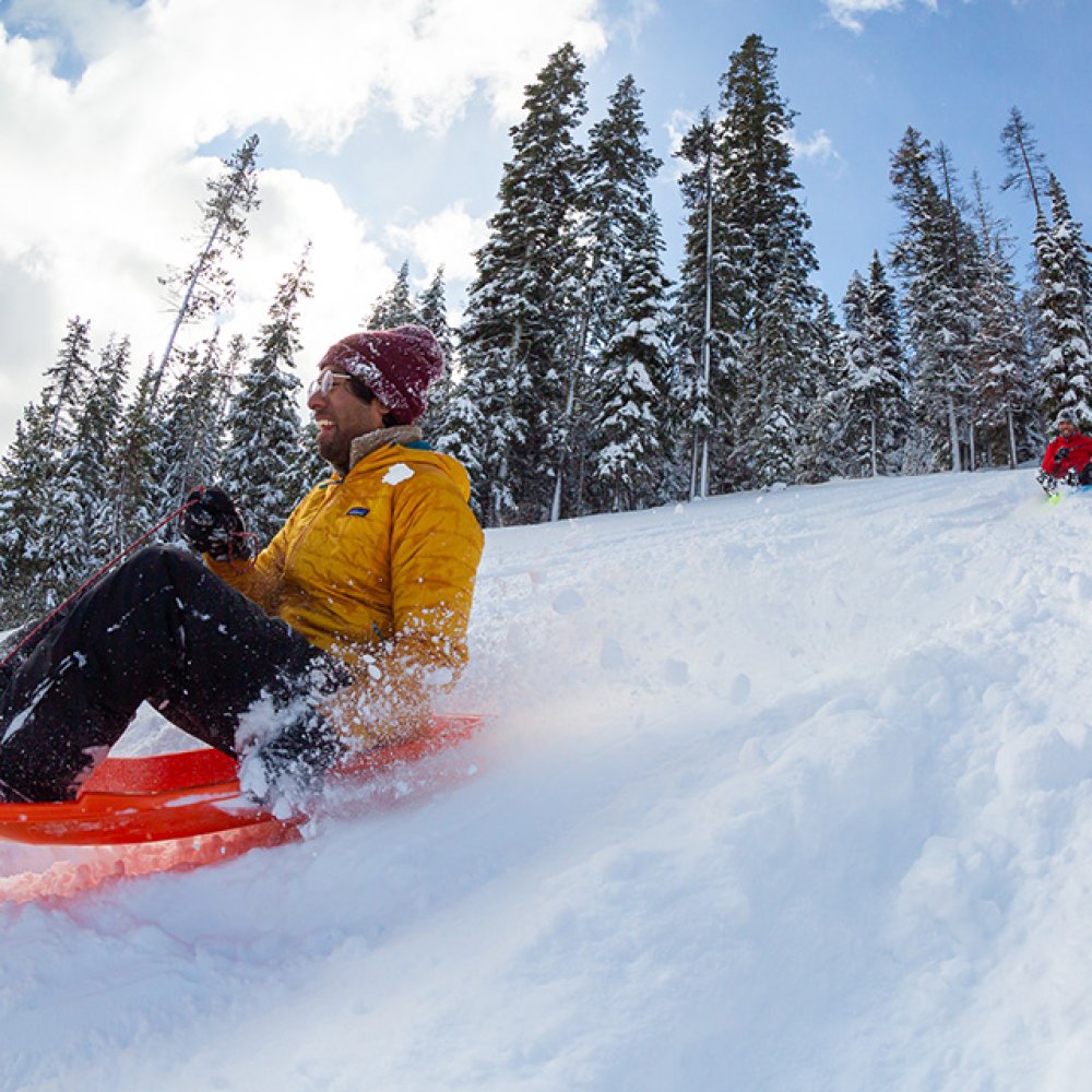 Sled / Luge